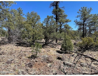11.34 Acre Parcel