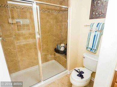 916 Magnolia Blossom Ct, Sykesville, MD 21784 - photo 6