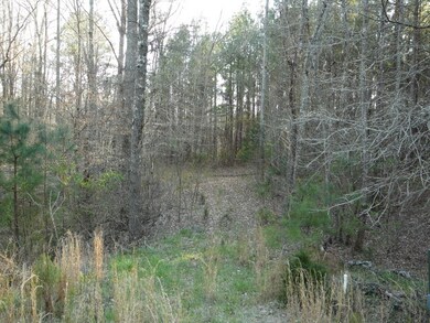 9 Southview Dr, Anderson, SC 29621 - photo 4