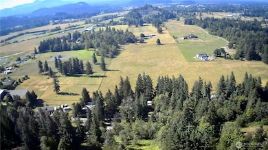 27435 SE 402nd St, Enumclaw, WA 98022 - photo 5