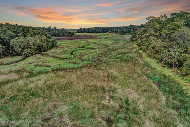 Bluff marsh