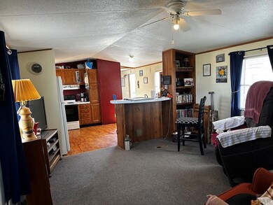 306 E 1st St, Hasty, CO 81044 - photo 7