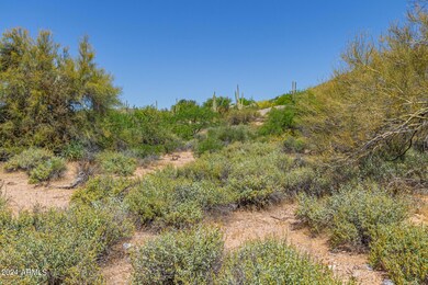 Covey Trail