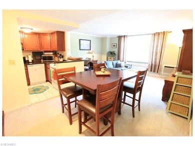 Open Concept Living, Dining, Kitchen Space