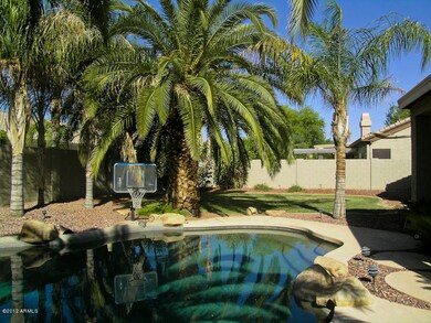 back trees pool
