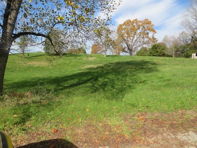 2353 State Rt 209, Olive Hill, KY 41164 - photo 3