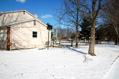 Side View