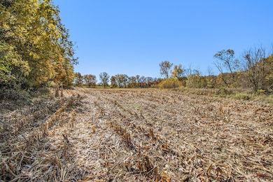 002_1813briddle_6_275