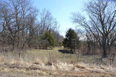 0000 W 177th St, Burlingame, KS 66413 - photo 2