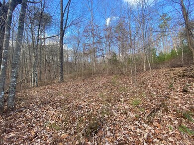 bluff view 6