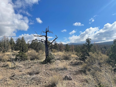 0 SE Almond Ln SE unit 220212321, Prineville, OR 97754 - photo 7