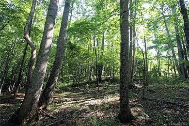 48 Shenandoah Rd unit 48, Lake Lure, NC 28746 - photo 6