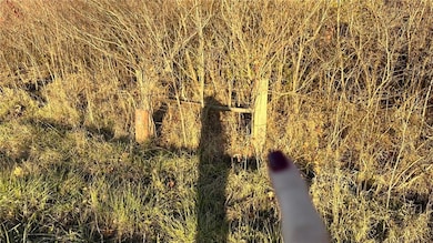 Proposed north line post (approx)