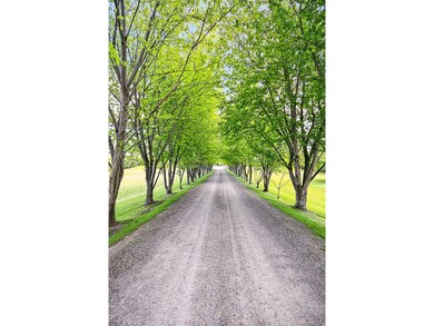 The tree lined driveway provides an ambiance to th