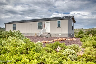 6241 Apache Trail, Show Low, AZ 85901 - photo 2