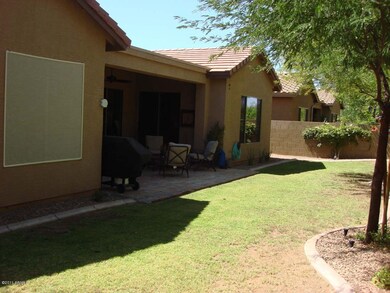 backyard 1
