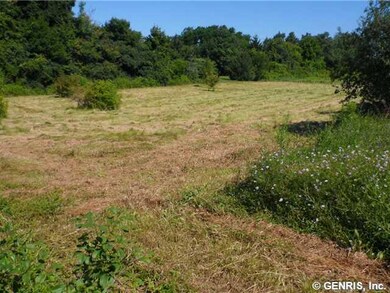 Land/Lot. Welcome to County Rd 4. Picture your new