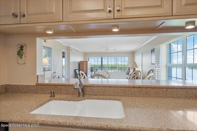 Surrounding River views from the Kitchen