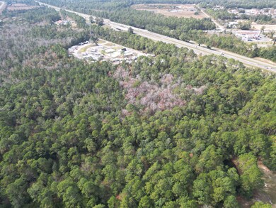 0000 Lavon Rd, Bagdad, FL 32583 - photo 4