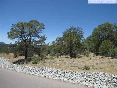 LOT 162 Swan Street @ Chimboraza Point unit Dos Griegos Phase 5, Silver City, NM 88061 - photo 5
