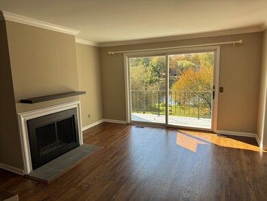 Living Room with Fireplace