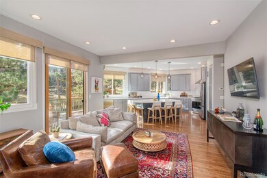 29972 Troutdale Ridge Rd, Evergreen, CO 80439 - photo 6