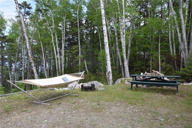 Picnic table, fire pit, and hammock,...