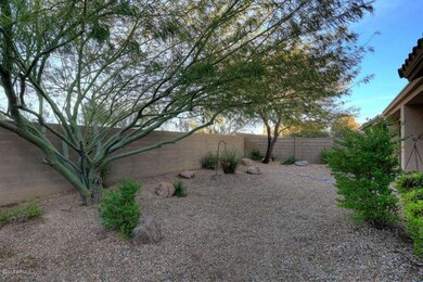 Backyard2
