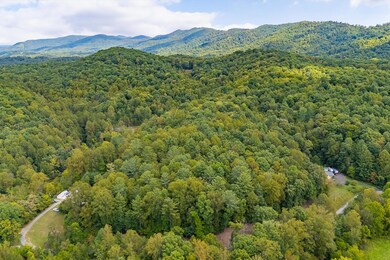 04-LOT 0 Willow Branch Rd_04