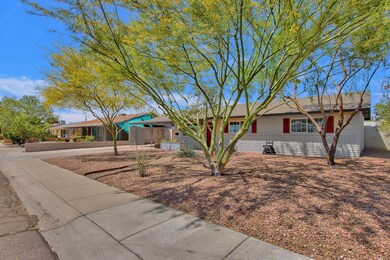 Front Yard