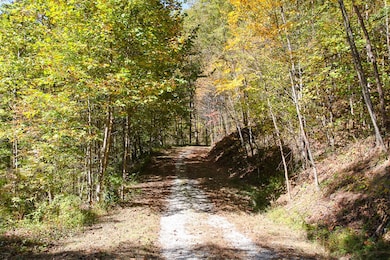 Lot 43 Falls View Rd, Bryson City, NC 28713 - photo 5