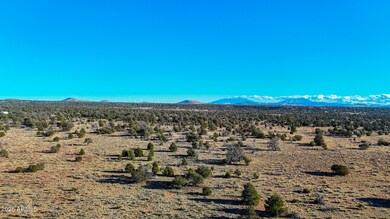 dji_fly_20250117_160146_0036_17372201526