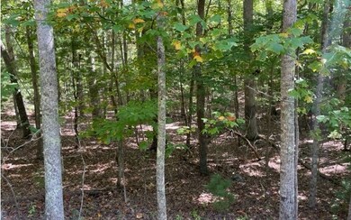 8 AC Payne Way, Blairsville, GA 30512 - photo 3