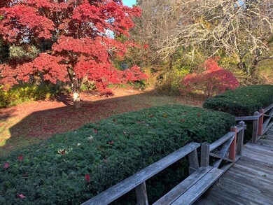 10 Elliot Ave, Oak Bluffs, MA 02568 - photo 3