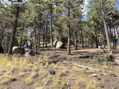 Southside of the Lot featuring large boulders and 