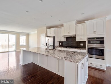 25016 Cambridge Hill Terrace, Chantilly, VA 20152 - photo 3