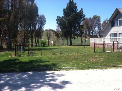 Nice newer fencing around house for the Dogs.