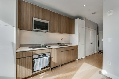 100 Shawmut Ave unit 411, Boston, MA 02118 - photo 3