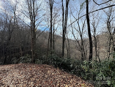 TBD Big Ridge Rd, Bakersville, NC 28705 - photo 2