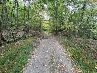 0 Rt 271 (Menhore Blvd) unit 11357205, Johnstown, PA 15905 - photo 5