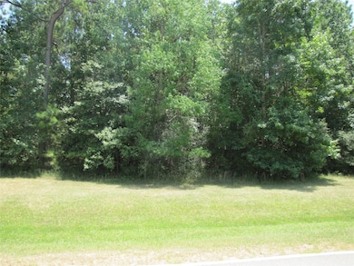 29318 Post Oak Run, Magnolia, TX 77355 - photo 2