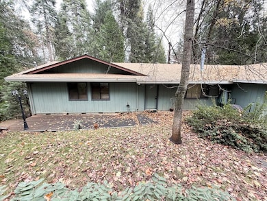 4585 Wandering Way, Camino, CA 95709 - photo 4