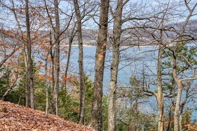 0 The Pointe Dr unit 1267957, Eureka Springs, AR 72631 - photo 2