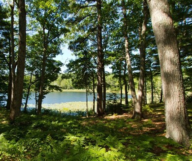 View of Lily Pond from back deck