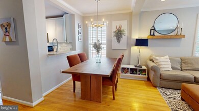 725 Massey Ln unit A, Alexandria, VA 22314 - photo 7