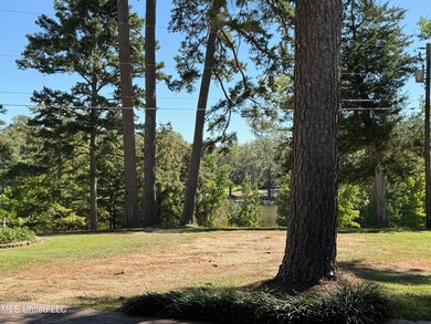 365 Mcclendon Dr, Raymond, MS 39154 - photo 6