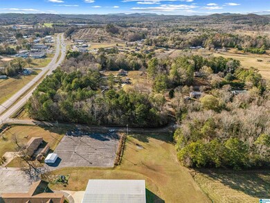 0 Northside Dr, Piedmont, AL 36272 - photo 7