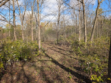 PXL_20251023_171139445