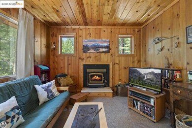 Living room featuring a healthy amount of sunlight, wooden walls, and carpet