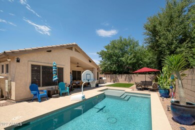 Backyard 1
